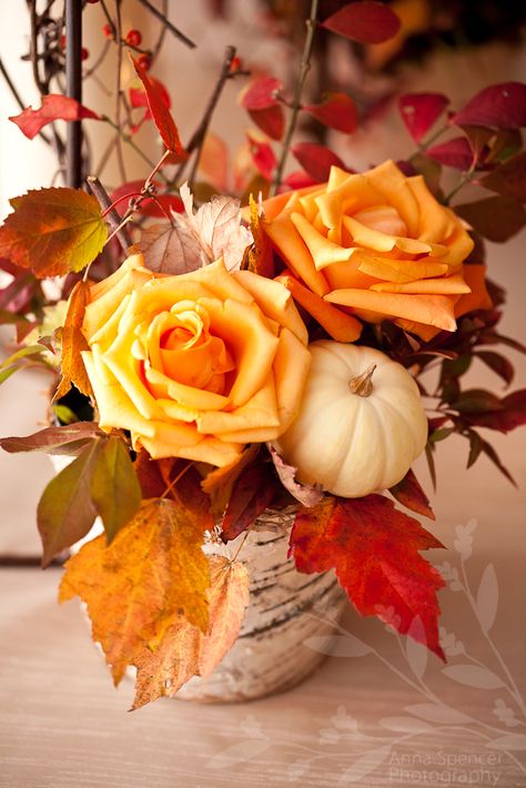 Anna and Spencer Photography, Fall Wedding Floral Arrangement with Orange Roses, Pumpkins & Leaves. Mimi Walden Florist. Flower Arrangement Designs, Fall Flower Arrangements, Fall Floral Arrangements, Fall Wedding Centerpieces, Rustic Fall Wedding, Fall Arrangements, Fall Wedding Flowers, Floral Arrangements Wedding, Orange Roses