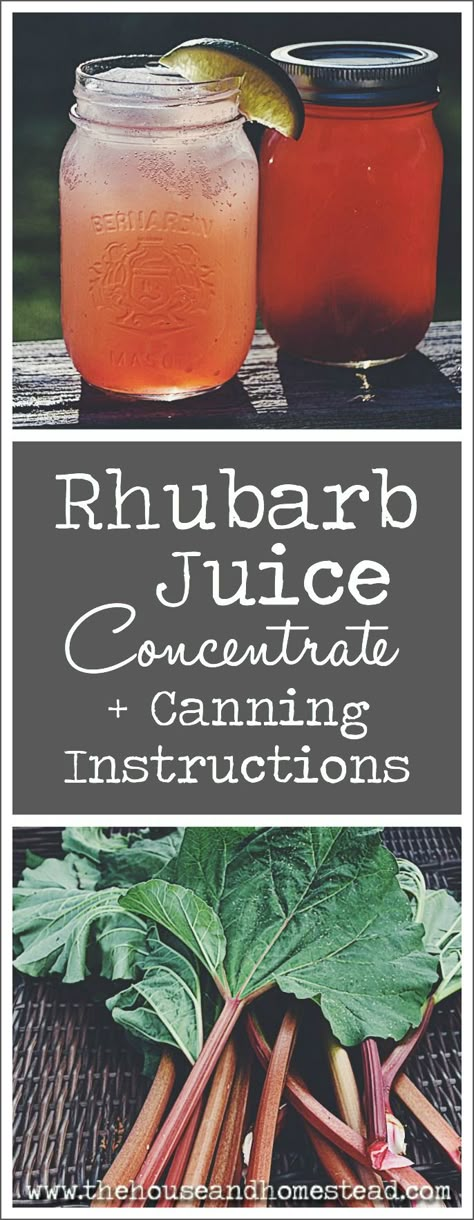 Rhubarb Soda, Rhubarb Lemonade, Rhubarb Cocktail, Recipes Juice, Rhubarb Juice, Fresh Rhubarb, Flavored Lemonade, Rhubarb Syrup, Homemade Soda