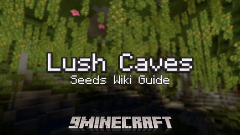 Minecraft Lush Caves Seed, Lush Cave Seeds Minecraft, Lush Cave, Minecraft Underground, Minecraft Seed, Underground Caves, Cave System, Large Mushroom, Create A World