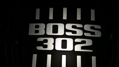 BOSS 302 Logo, Spirit Animal Art, Long Hair Pictures, Mustang Boss, Top Gear, American Muscle, Hair Pictures, Spirit Animal, Animal Art