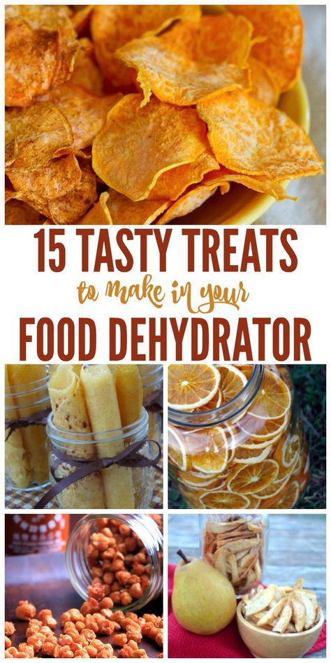 Best Dehydrator, Food Dehydrator Recipes, Dehydrator Recipes Fruit, Dehydrating Food Storage, Dried Meat, Food Dehydration, Treats To Make, Dehydrated Vegetables, Food Dehydrator