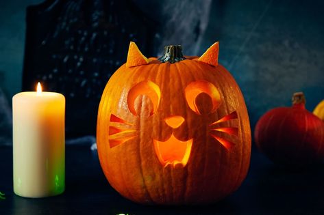 Funny Pumpkin Carvings, Cat Pumpkin Carving, Cute Pumpkin Carving, Pumpkin Carving Kits, Creative Pumpkin Carving, Easy Pumpkin Carving, Pumpkin Carving Designs, Pumpkin Carving Ideas, Pumpkin Carving Patterns