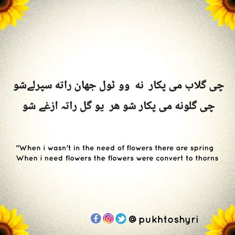 Pashto Funny Poetry, Pushto Poetry Love, Pashto Quotes In English, Pashto Poetry Attitude, Sk Images Letter Love, Good Manners Quotes, Manners Quotes, Fruits Name In English, Pashto Shayari