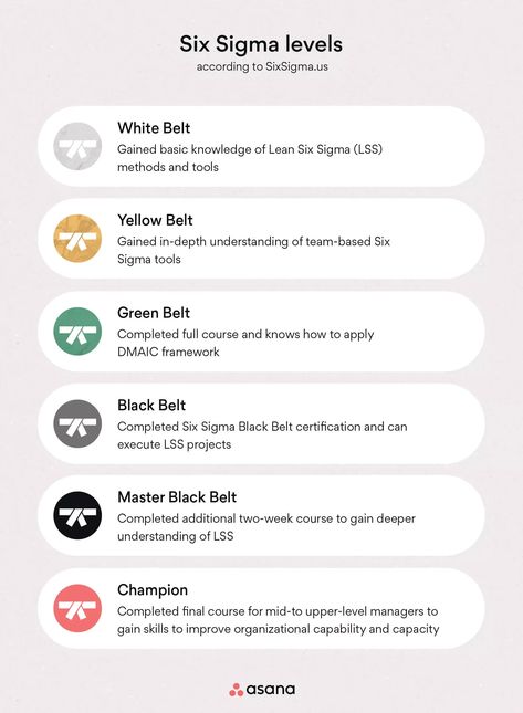Six Sigma: What to Know About the Lean Methodology [2024] • Asana Lean Process Improvement, Healthcare Administration, Lean Six Sigma, Six Sigma, Process Improvement, Quality Management, Data Analysis, Organization Help, Business Finance