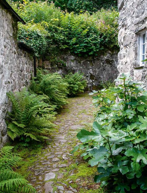 Woodland Garden, Garden Pathway, Natural Garden, Courtyard Garden, Front Garden, Shade Garden, Garden Paths, Dream Garden, Small Garden