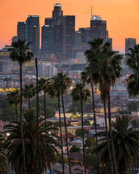 #losangeles #la Driving In Los Angeles, Los Angeles California Photography, Angeles Aesthetic, Los Angeles Wallpaper, City Life Aesthetic, Los Angeles Aesthetic, Los Angeles Skyline, Cali Life, Los Angeles Travel