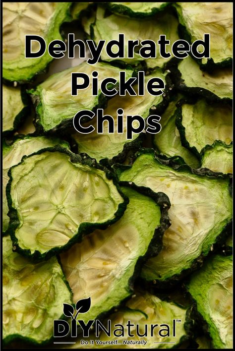 Dehydrated Pickles, Dehydrated Veggies, Dehydrated Recipes, Cucumber Chips, Dehydrating Food Storage, Homemade Corned Beef, Dill Pickle Chips, Dehydrated Vegetables, Bear Recipes