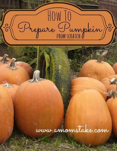 Pumpkin Pie Filling From Scratch, Fresh Pumpkin Recipes, Pumpkin Pie From Scratch, Fresh Pumpkin Pie, Fun Kids Activities, Pumpkin Puree Recipes, Simple Diy Projects, Scratch Cooking, Biggest Pumpkin