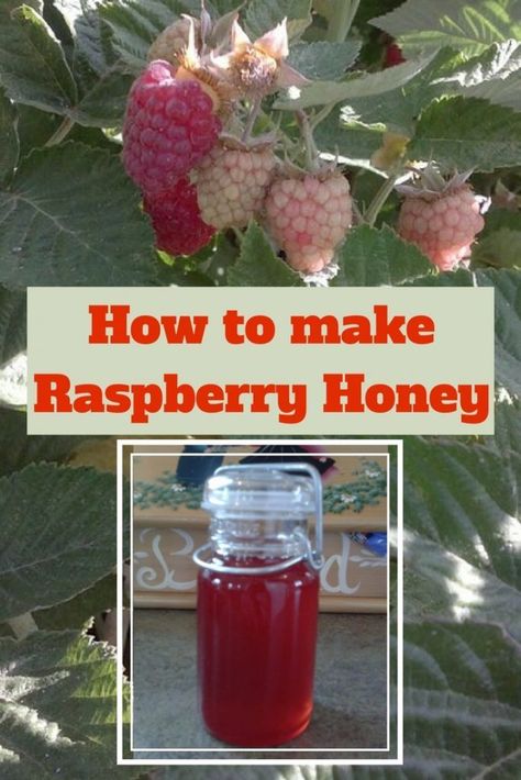 Flavored Honey, Homesteading Animals, Raspberry Filling, Honey Recipes, Food Garden, Jams & Jellies, Jam Recipes, Fermenting, Canning Jars