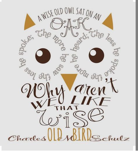 A wise old owl Owl Shadow, Owl Sayings, Shadow Box Wall Art, Owl Quotes, Shadow Box Wall, Owl Theme, Box Wall, Owl Crafts, Hoot Owl