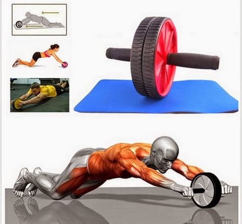 barangmurahmalaysia: Exercise Wheel Ab Wheel Workout, Ab Roller Workout, Roller Workout, Exercise Wheel, Abs Training, Ab Roller, Best Ab Workout, Best Abs, Abs Workout Routines