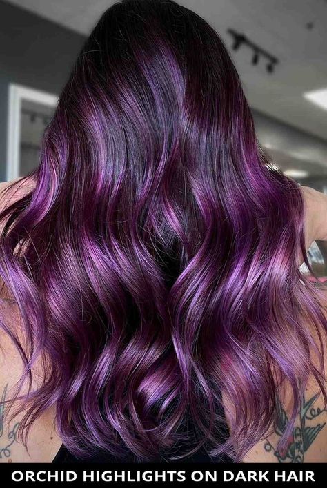 Get this incredible orchid highlights on dark hair as it just might be the perfect fit for you! Plus, you have to see the rest of these 35 trendy purple hair colors. Photo Credit: @hailtothehair on Instagram Dark Black Hair With Purple Highlights, Dark Hair With Purple Extensions, Purple Hilights On Brown Hair, Dimensional Purple Hair, Violet Highlights On Dark Hair, Lavender Highlights Dark Hair, Purple Hair Highlights Brown, Bright Purple Highlights, Purple Hair Color Ideas For Brunettes