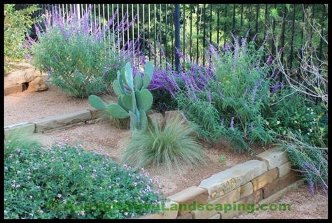 Draught Resistant Landscaping, Xeriscaping Texas, Austin Landscaping, Landscaping Texas, Terraced Yard, Zero Scape, Xeriscape Ideas, Desert Scape, Ranch Landscaping