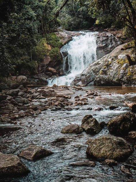 Lakkam Waterfalls Munnar Munnar Waterfalls, Munnar Aesthetic, Munnar Photography Travel, Munnar Photography Kerala, Kerala Waterfalls, Munnar Photography, Kerala Aesthetic, Guide Book Design, Travel Guide Book Design