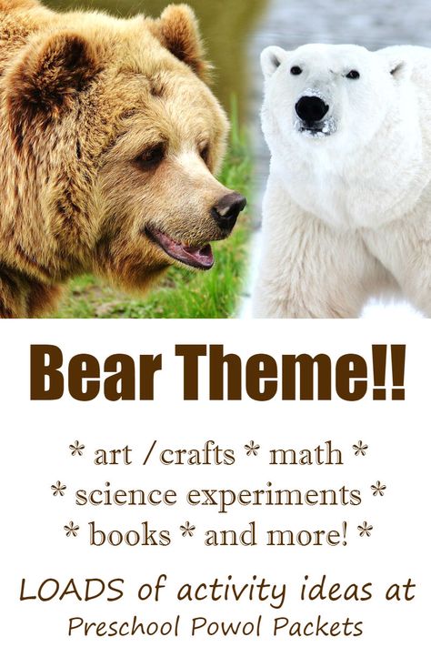 Fun activities for a bear theme for preschoolers!! Cute bear crafts, awesome bear science and STEM activities, and more! Bear Lessons For Kindergarten, Bear Science Preschool, Bear Stem Activities, Bear Science Activities, Preschool Bear Theme, Bear Theme Activities, Bear Activities Preschool, Preschool Bears, Preschool Hibernation