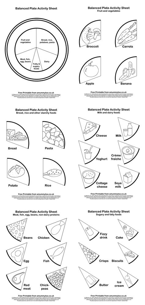 Healthy Food Essay, My Food Plate, Health Essay, Healthy Eating Plate, Balanced Plate, Nutrition Classes, Balanced Diet Plan, Nutrition Activities, Nutrition Quotes