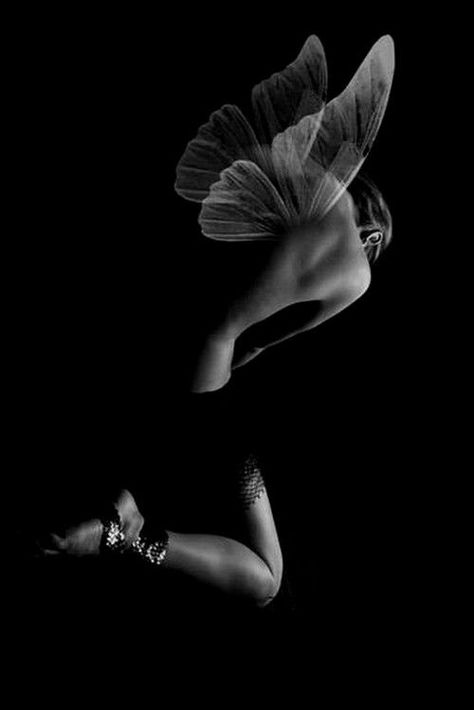 / Papillon Butterfly, Foto Art, Charles Bukowski, Angels And Demons, Fairy Angel, Black White Photos, White Photo, Black & White, Beautiful Butterflies