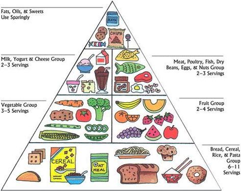 Paleo Food Pyramid, Food Pyramid Kids, Healthy Eating Pyramid, Cereal Bread, Dry Beans, Low Carb Diets, Food Pyramid, Group Meals, Healthy Eating Recipes