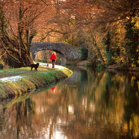 Monmouth/Brecon Canal, South Wales UK - Chris Whittington Northern Wales, Brecon Beacons, Living In Europe, Wales Uk, Canal Boat, England And Scotland, Snowdonia, Autumn Scenery, British Isles