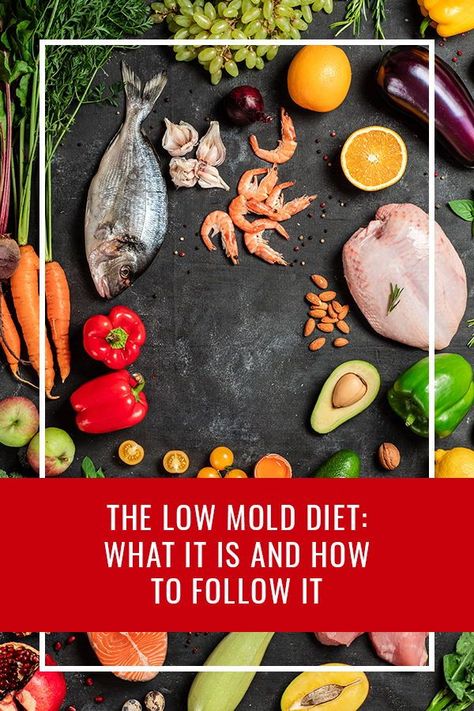 Today we’re going to dive into exactly what the low-mold diet is and how you can implement it to start healing from mold illness. Mold Diet Recipes, Mold Toxicity Diet, Low Mold Diet Recipes, Mold Detox Diet, Mold Free Diet, Low Mold Diet, Mold Diet, Headache Diet, Mold Toxicity