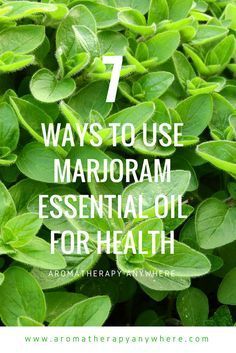 Health Benefits of Marjoram Essential Oil Marjoram Benefits, Marjoram Essential Oil, Herbal Health, Essential Oil Extraction, Herbal Skin Care, Making Essential Oils, Yl Essential Oils, Aromatherapy Blends, Essential Oil Benefits