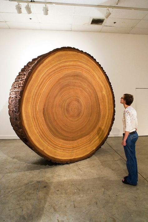 Sharon Levy's installation entitled "The Wood" is a group of sculptures that examine trees in a series of different ways. The most striking piece when one enters the room is the massive nine-foot-tall "cookie" or cross-section of a tree. Meticulously painted, this work only resembles an actual tree ring, it's actually made of stretched and painted canvas with carved and painted foam rubber serving as the tree bark. Giant Tree, Tree Slices, Wood Images, Got Wood, Tree Rings, Tree Sculpture, Tree Hugger, Tree Bark, Sculpture Installation