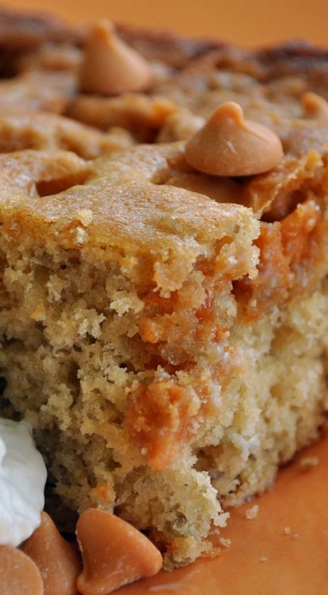 Butter Scotch Cake, Scotch Cake, Butterscotch Desserts, Amish Butter, Butterscotch Recipes, Amish Food, Bake Oatmeal, Plain Cheesecake, Butter Scotch