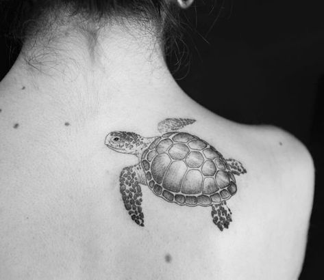 Leather Back Sea Turtle, Tropisches Tattoo, Sea Turtle Tattoos, Guy Tattoos, Tattoo Turtle, Piercings Black, Turtle Tattoos, Cute Sea Turtle, Sea Turtle Tattoo