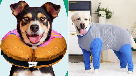 Veterinarians Recommend These 7 Dog Cone Alternatives Alternatives To Cones For Dogs, Dog Cone Alternative, Dog Treats Diy, Dog Cone, Cone Of Shame, Dog Wrap, Animal Pen, Diy Dog Treats, Gifts For Cat Lovers