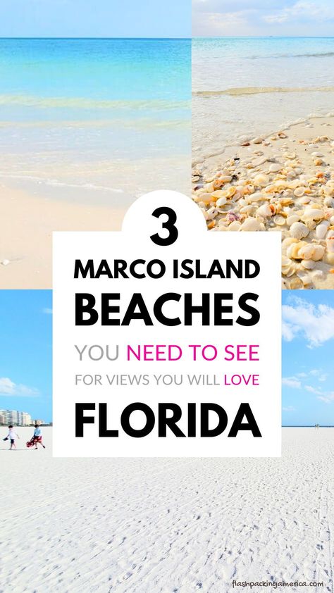 Marco Island beach. travel. Visit the blog for Marco Island beaches you need to see! southwest florida. things to do. florida beaches. pictures. family vacation ideas. us outdoor travel destinations. florida vacation. florida road trip. florida aesthetic. travel aesthetic. florida itinerary. naples florida day trip. marco island florida. gulf coast beaches. flashpacking america florida. Florida Beaches Pictures, Florida Road Trip Ideas, Vacation Activities For Kids, Best Shelling Beaches, Florida Itinerary, Bucket List Florida, Beaches Pictures, Florida Gulf Coast Beaches, Florida Vacation Destinations