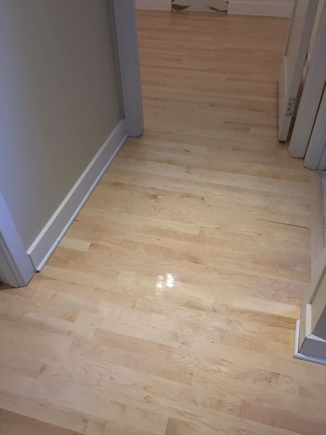 Refinish Maple Floors, Maple Hardwood Floors Stains, Refinishing Maple Floors, Maple Floor Stain Colors, Refinished Maple Floors, Maple Wood Floors, Maple Wood Flooring, Maple Flooring, Floor Stain Colors