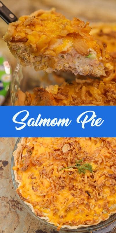 Salmon Recipes Canned, Salmon Pastry, Salmon Pie Recipe, Canned Meat Recipes, Canned Fish Recipes, Salmon Pie, Salmon Casserole, Salmon Smoked, Easy Chicken Pot Pie Recipe