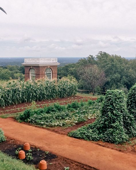 Glam Guide: Charlottesville, Virginia - Julia Berolzheimer Charlottesville Wineries, Virginia Wine Country, Julia Berolzheimer, Charlottesville Virginia, Charlottesville Va, Girls Getaway, Bachelorette Trip, Gal Meets Glam, University Of Virginia