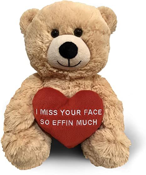 Funny Teddy Bear, I Miss Your Face, Valentines Day Teddy Bear, Teddy Bear Gift, Miss Your Face, Boyfriend Best Friend, Teddy Day, Teddy Bears Valentines, Miss You Gifts