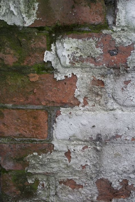 i love the contrast in colours between the wall and the paint and i also like the texture of the decaying wall and moss Growth And Decay Photography, Decay Building, Photography Gcse, Decay Art, Contrast Photography, Black Teeth, Old Brick Wall, Growth And Decay, Faux Brick Walls