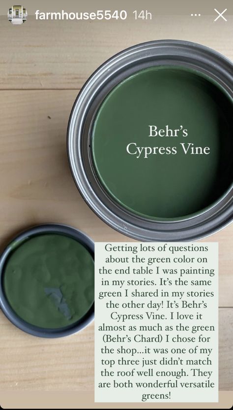 Behr Hunter Green Paint, Pine Green Decor, Wall Colors For Cabin, Sw Green Exterior Paint Colors, Forest Green Paint Behr, Best Green Paint Colors Behr, Behr Moody Green Paint Colors, Paint Colors For Home Behr, Behr Emerald Green Paint Colors