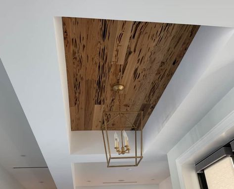 Pecky Cypress Kitchen, Pecky Cypress Beams, Pecky Cypress Ceilings, Pecky Cypress Shelves, Cypress Ceiling, Cypress Walls, Pecky Cypress Bar, Picky Cypress Ceiling, Cypress Porch Ceiling