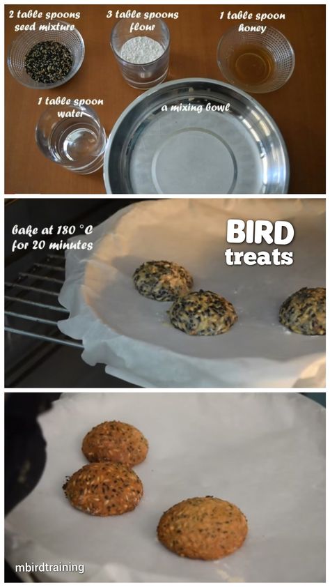 Bird Treats Diy, Homemade Bird Toys Parrots, How To Take Care Of Parakeets, Bird Treats Homemade, Diy Parakeet Toys, Diy Bird Toys Parakeets, Diy Cockatiel Toys, Parakeet Cage Ideas, Homemade Bird Seed