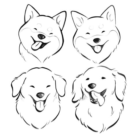 Dog Toy Drawing, Dog Expressions Drawing, Petra Drawing, Happy Dog Illustration, Sketches To Practice, Golden Retriever Sketch, Loose Sketches, Dog Drawing Reference, Study Sketches