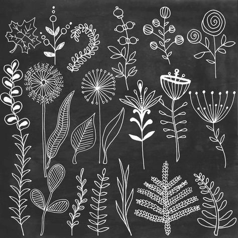 Chalk floral clipart Chalkboard flowers leafs hand painted clip art digital Chalk doodle elements Botanical clipart overlay White clip art,  #Art #botanical #Chalk #chalkboard #clip #Clipart #Digital #Doodle #elements #FabricPaintingonpaper #floral #flowers #Hand #leafs #overlay #Painted #White Check more at http://painting10.tvizlet.me/chalk-floral-clipart-chalkboard-flowers-leafs-hand-painted-clip-art-digital-chalk-doodle-elements-botanical-clipart-overlay-white-clip-art/ Chalkboard Flowers, Doodle Elements, Chalkboard Doodles, Chalk Wall, طابع بريدي, Chalkboard Lettering, Chalk Lettering, Chalkboard Designs, Chalkboard Wall