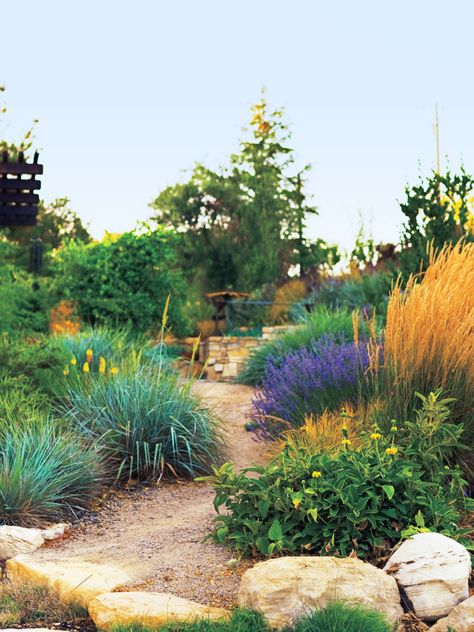 Flagstone Path, Drought Tolerant Perennials, Desert Garden, Garden Architecture, Landscape Garden, Native Garden, Landscaping Tips, Backyard Projects, Gorgeous Gardens