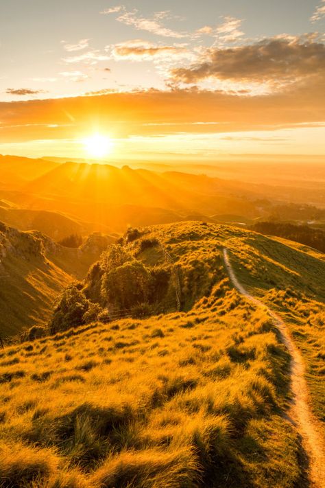 . Grassy Hill, Gorgeous Pics, Beautiful Word, Golden Moments, Scenic Photography, Adventure Photography, Hot Shots, Landscape Pictures, Sunset Pictures