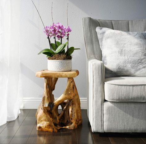 just ordered my natural wood table from welland 🌲 i am so excited to see what mine looks like, as each piece is hand crafted & uniquely different Stump End Table, Stump Side Table, Natural Edge Wood, Tree Stump Side Table, Tree Stump Table, Stump Table, Driftwood Table, Table Live Edge, Table 19