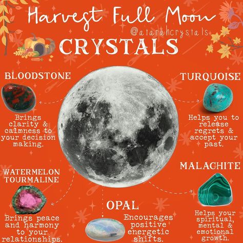 Harvest Moon Crystals, Harvest Full Moon, Charging Crystals, My Intent, Crystals Meanings, So Exhausted, Groovy Art, Crystal Work, Love Affection