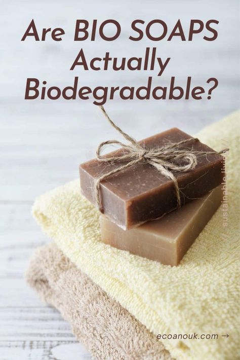 Is Biodegradable Soap Actually Biodegradable? Organic Soap Recipe, Biodegradable Soap, Natural Soaps Recipes, Detergent Product, Liquid Castile Soap, Solid Shampoo Bar, Solid Shampoo, Backpacking Tips, Castile Soap