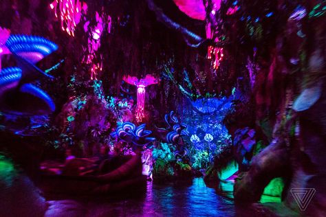 Walt Disney Imagineering and James Cameron have built a whole new world Avatar Disney World, Avatar Land, Avatar Disney, Avatar Theme, Walt Disney Imagineering, Disney Imagineering, Disney Orlando, Pandora Avatar, Disney Animals