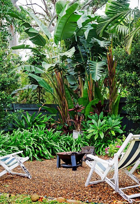 There's nothing better than gathering around a fire pit in the heart of winter with the friends and family, so here are 15 of our favourite ideas. Small Tropical Gardens, Rainforest Plants, Tropical Garden Design, Tropical Backyard, Australian Garden, Landscape Design Plans, Low Maintenance Garden, Tropical Landscaping, Small Gardens