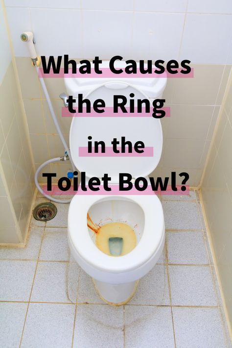 How To Get Ring Out Of Toilet Bowl, How To Keep Toilet Bowl Clean, Toilet Rings How To Get Rid Of, How To Get Rid Of Toilet Bowl Ring, Clean Toilet Bowl Ring, Cleaning Toilet Ring, Toilet Bowl Ring Remover, Gross Toilet, Brown Toilet