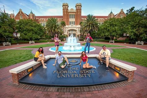 The 5 Best Florida State University (FSU) Dorms - Humans of University Fsu Dorm, Florida Print, University Aesthetic, University Housing, Interior Design Colleges, China Airlines, School Application, Florida Photography, University Of South Florida