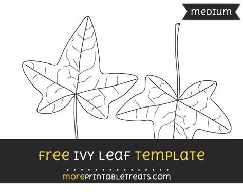 Ivy Leaf Template - Medium Leaf Outline, Computer Paper, Leaf Template, Ivy Leaf, Black And White Lines, Program Design, Medium Size, Ivy, Cut Out